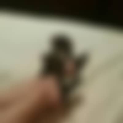 txcpl7576