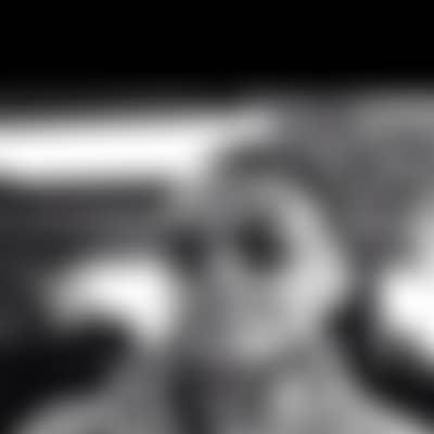 raypnj732