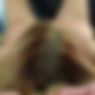 hottnwyldcplnc6569