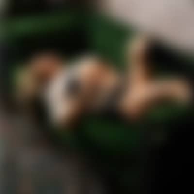 Hot Date