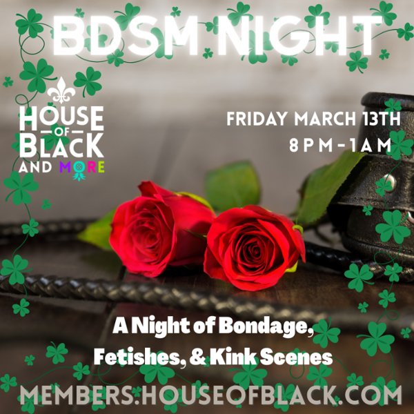 BDSM NIGHT