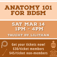 Anatomy 101 for BDSM