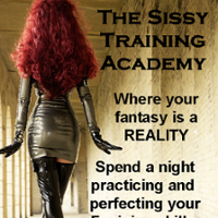 THE SISSY TRAINING ACADEMY