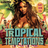 colette Houston Tropical Temptations